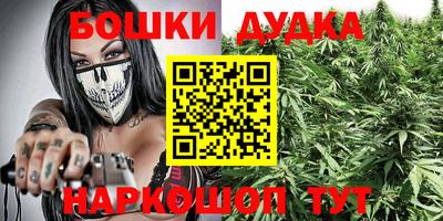 apvp Кунгур