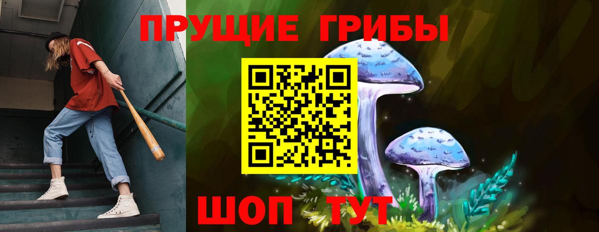 Галлюциногенные грибы GOLDEN TEACHER  Вход с VPN  Каменск-Шахтинский 
